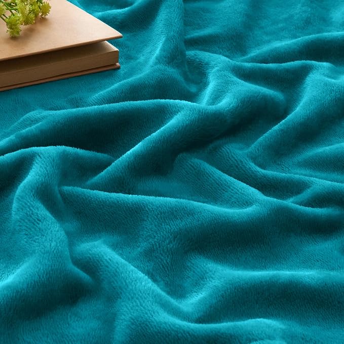 BEDELITE Fleece Blanket Twin Size Bluebird Throw Blankets - Image 3