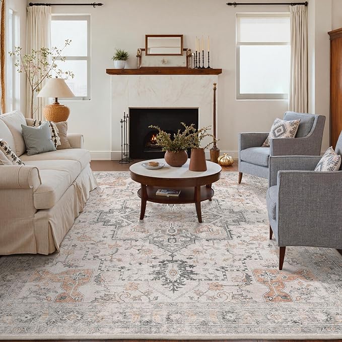 GENIMO 3x5 Area Rugs for Living Room, Machine Washable Non Slip Vintage Rugs, Low Pile Lightweight Chenille Print Rug for Bedroom, Dining Room, Home Office, Light Taupe Brown