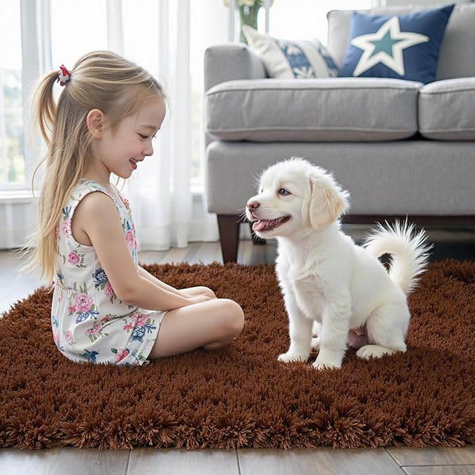 Small Rugs for Bedroom 2x3, Soft Area Rug for Living Room Dorm, Non Slip Shag - Image 3