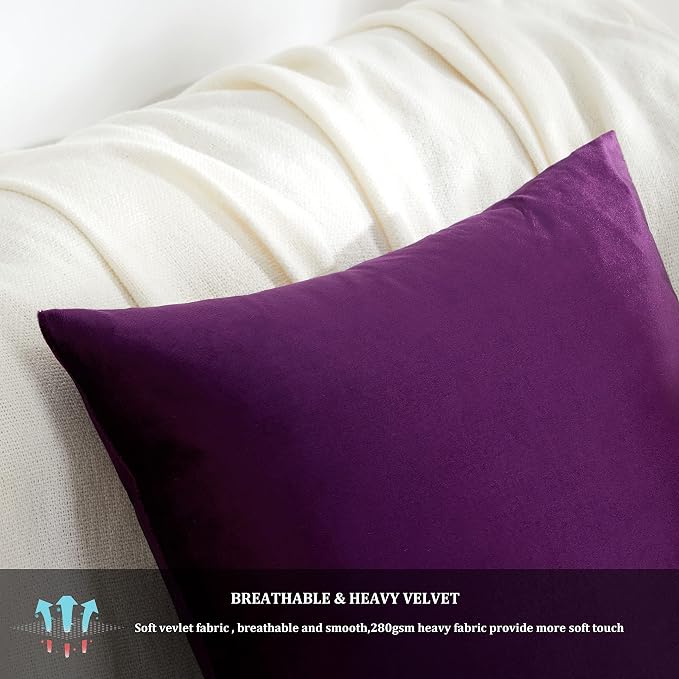 GIGIZAZA Decor Throw Couch Pillow Covers, Velvet Pillow Cases 24 x 24inch - Image 6