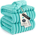 Bedsure GentleSoft Blue Queen Blanket by BEDSURE