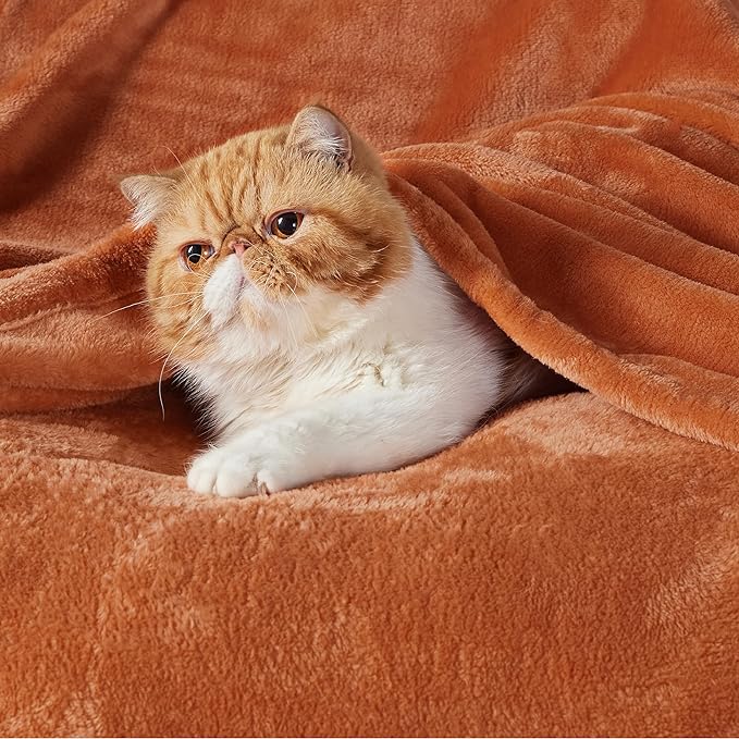 Bedsure Burnt Orange Throw Blankets Fleece Blanket Twin Blanket - Image 2