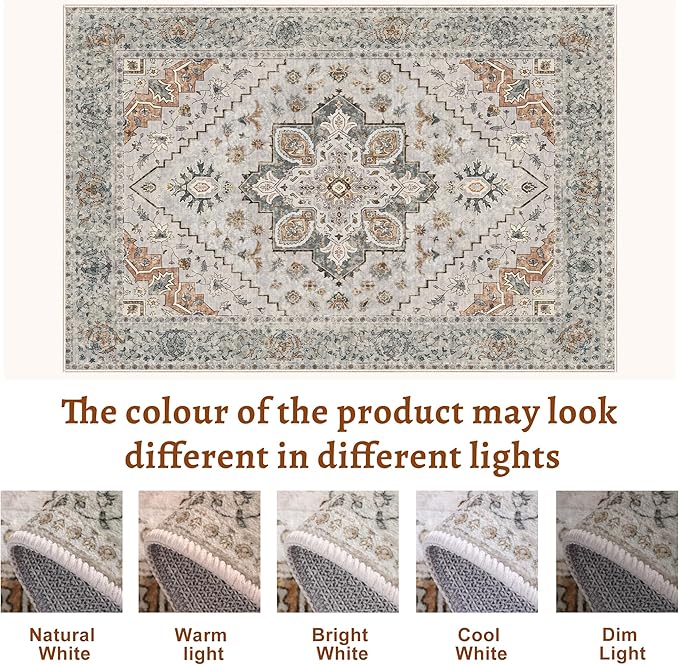 Tangsoo 3x5 Bedroom Rug, Washable Vintage Indoor, Area Rug Non Slip Accent Rug, Print Distressed Taupe Carpet, Soft Low Pile for Living Room Dorm Bedroom Bedside Entryway Bathroom