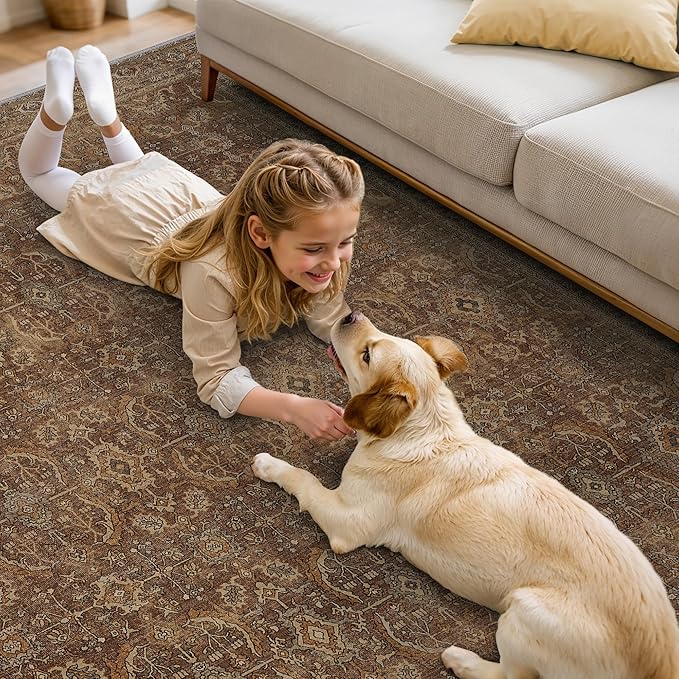 6X9 Area Rugs Machine Washable Rugs for Living Room, Vintage Boho Large Rugs for Bedroom Dining Room, Non Slip Indoor Soft Distressed Lightweight Thin Low Pile Carpet, Rustic Brown