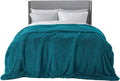 Bedsure GentleSoft Fluffy Turquoise Teal King Size Blanket by BEDSURE