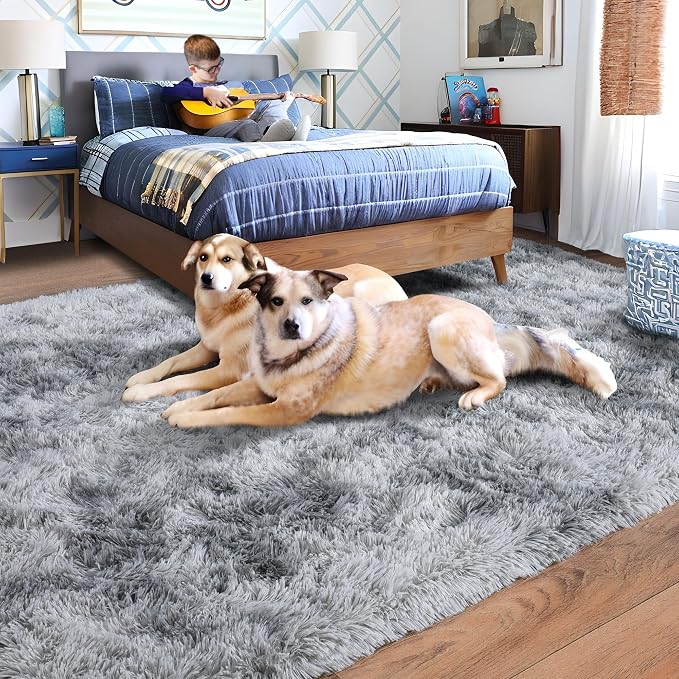 Rugs for Living Room 5x7, Soft Shaggy Modern Shag Area Rug for Bedroom - Image 3