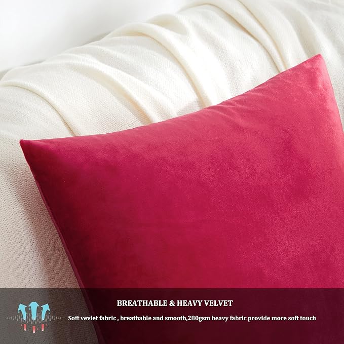 GIGIZAZA Decorative Couch Throw Pillow Covers, Pillow Cases Velvet Pillow Covers - Image 6