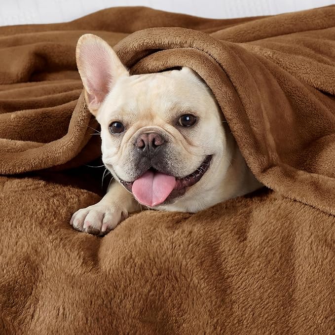Bedsure GentleSoft Orange Throw Blanket - Image 3