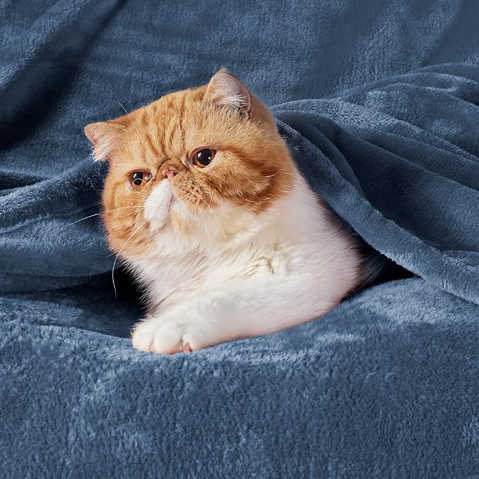 Bedsure GentleSoft Fleece Blanket California King Mineral Blue - Image 3
