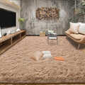 Tepook Super Soft Fluffy Rugs for Living Room, Shag 6x9 Area Rugs for Bedroom by Tepook