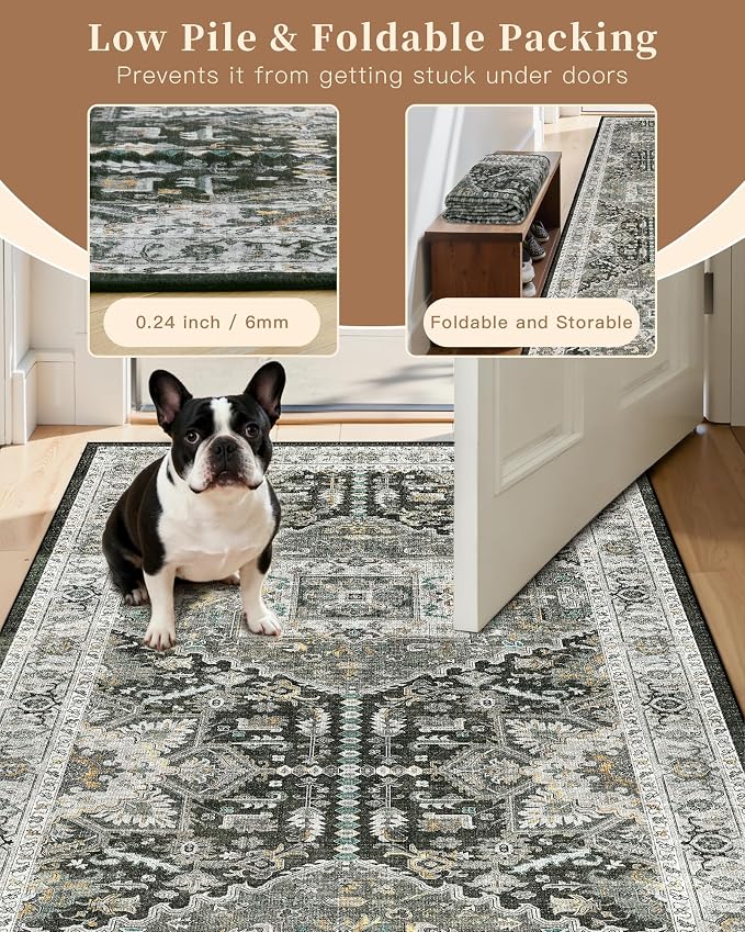Madane Washable Area Rug 2x3, Small Entryway Rug Non-Slip Vintage Door Mat - Image 6