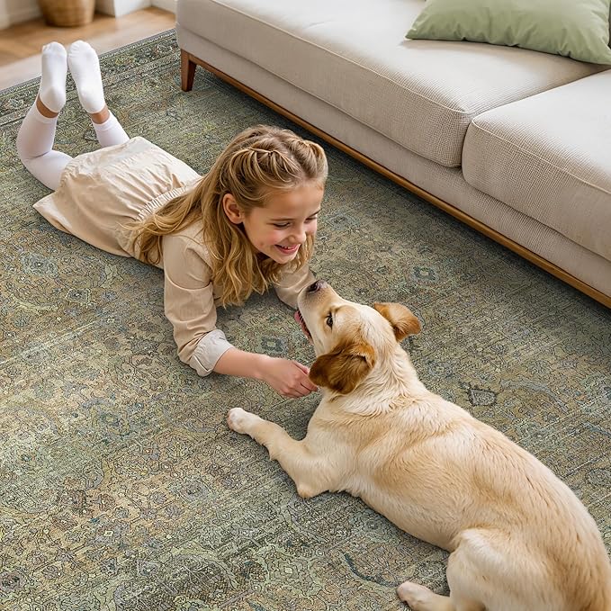 6X9 Area Rugs Machine Washable Rugs for Living Room, Vintage Boho Large Rugs for Bedroom Dining Room, Non Slip Indoor Soft Distressed Lightweight Thin Low Pile Carpet, Vintage Sunset