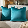 GIGIZAZA Décor Throw Couch Pillow Covers, 20 x 20 Pillow Velvet Cushion Covers by GIGIZAZAFocusingonhomedecoration