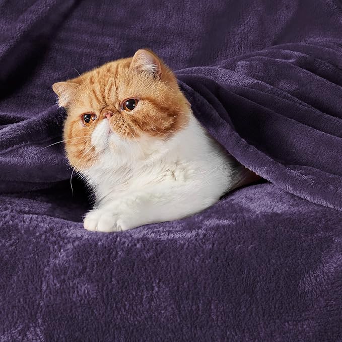 Bedsure GentleSoft Fleece Blanket Twin Size Purple - Image 2