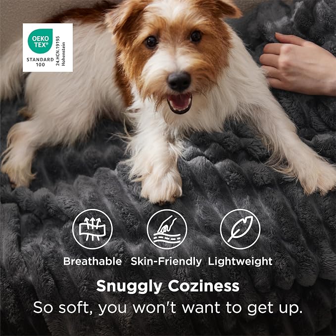 Bedsure GentleSoft Grey Twin Blanket - Image 2