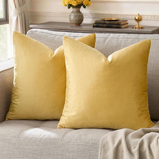 GIGIZAZA Decorative Couch Throw Pillow Covers, Pillow Cases Velvet Pillow Covers by GIGIZAZAFocusingonhomedecoration