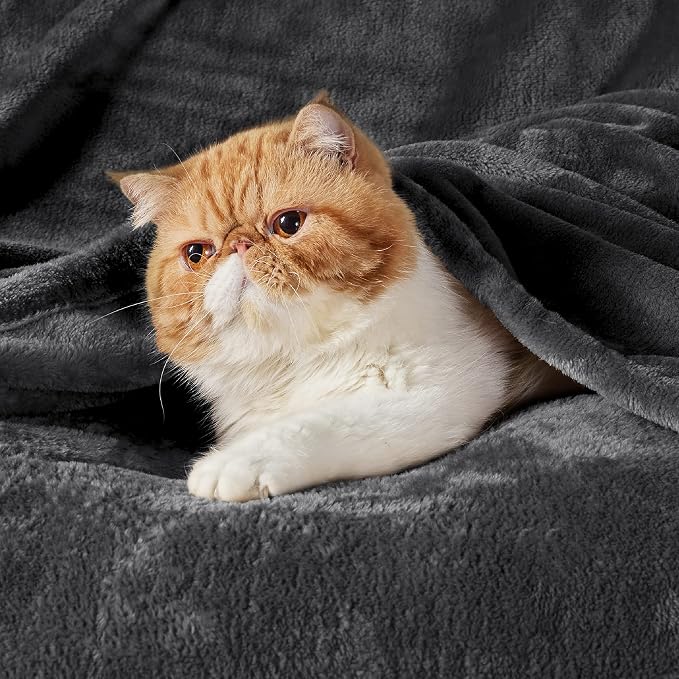 Bedsure GentleSoft Fleece Blankets King Size Dark Grey - Image 2