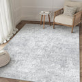 PureCozy 3x5 Area Rug Washable Vintage Entryway Living Room Carpet Indoor by PureCozy